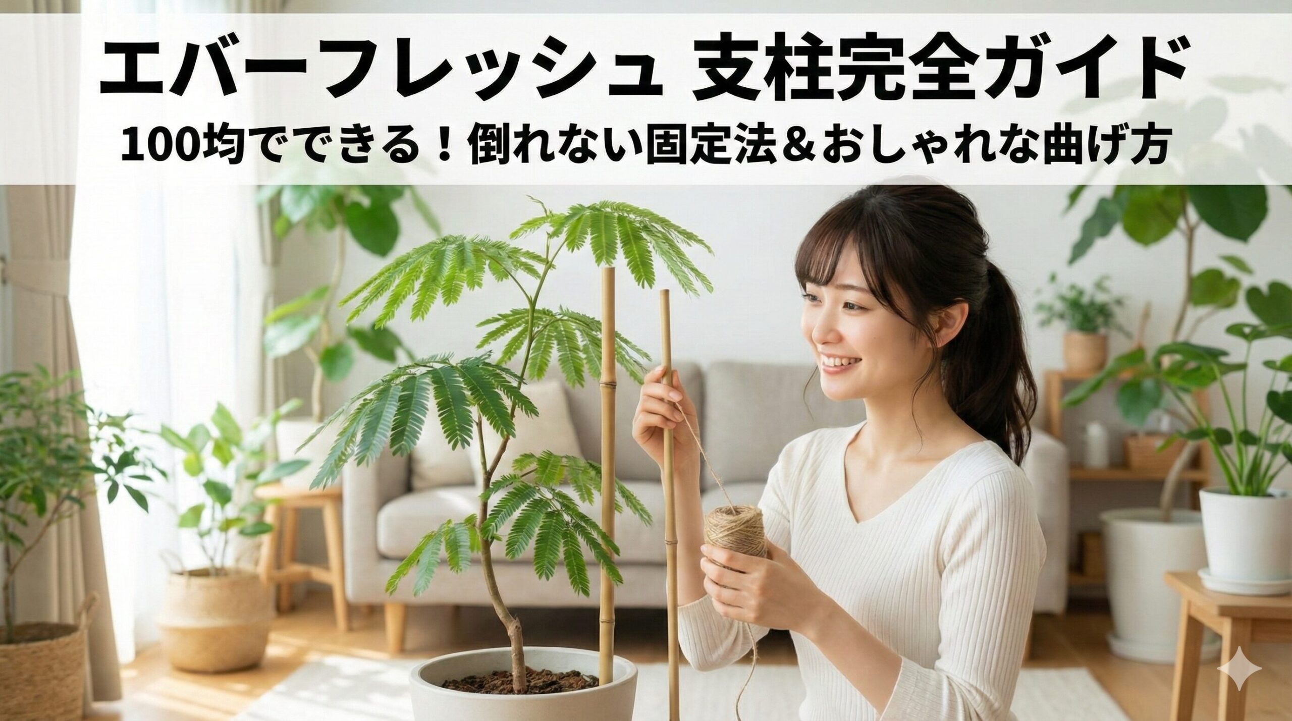 100均エバーフレッシュの真実！ダイソー入荷時期と枯らさない育て方