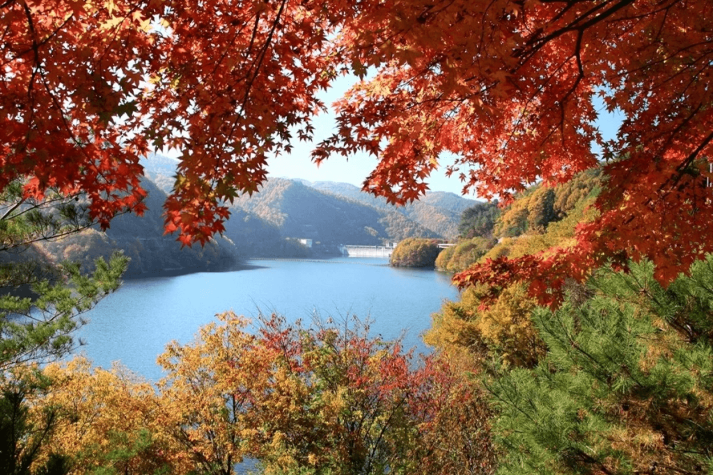 もみじ湖の紅葉とマイカー規制回避策！混雑ゼロで巡る絶景穴場