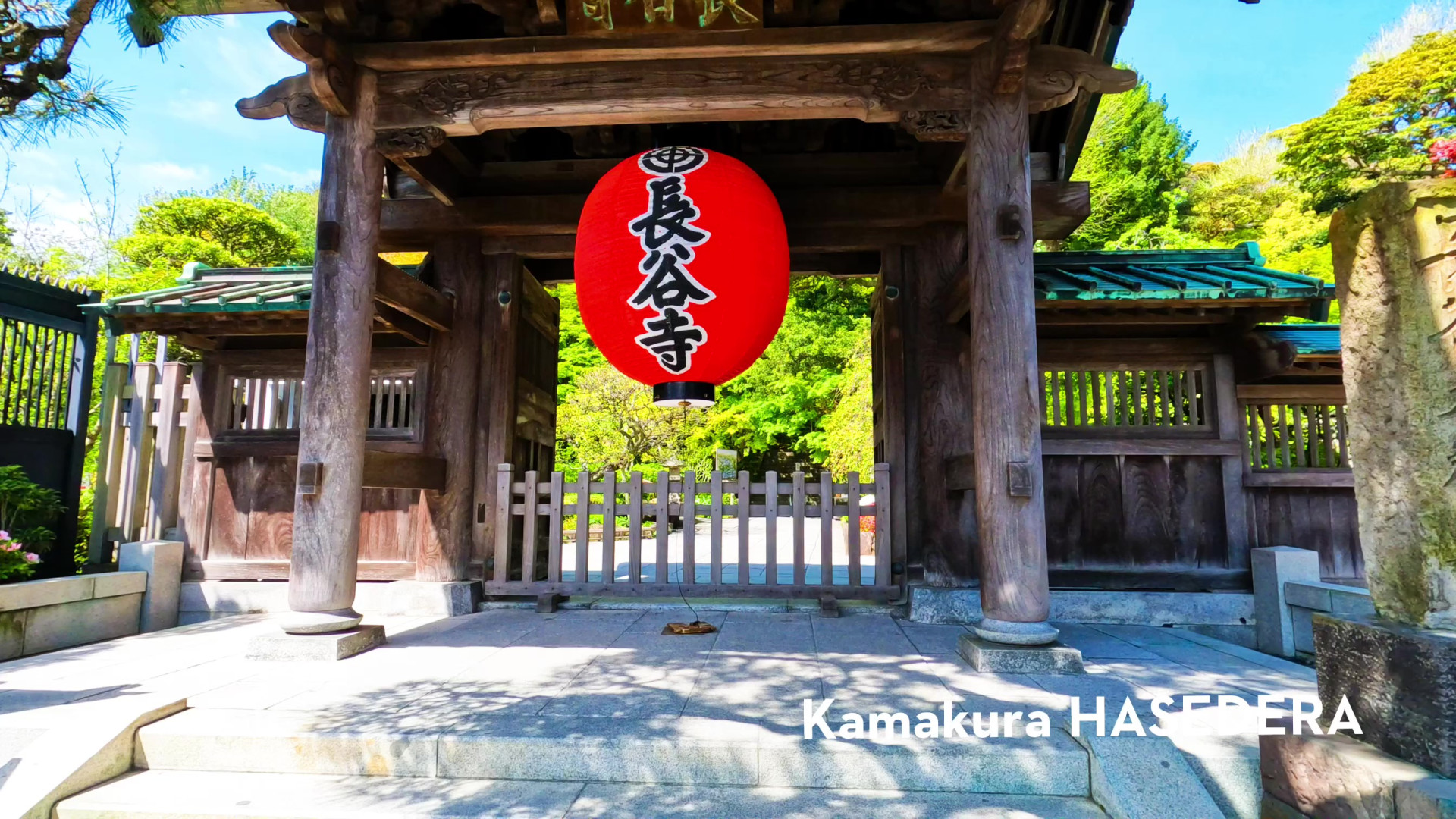 鎌倉長谷寺2026完全ガイド｜あじさい整理券の真相と混雑回避法