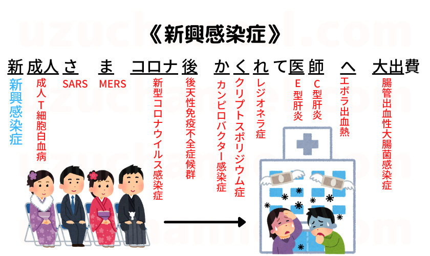 【2026国試】新興感染症の語呂合わせ！再興感染症との違いを一発整理