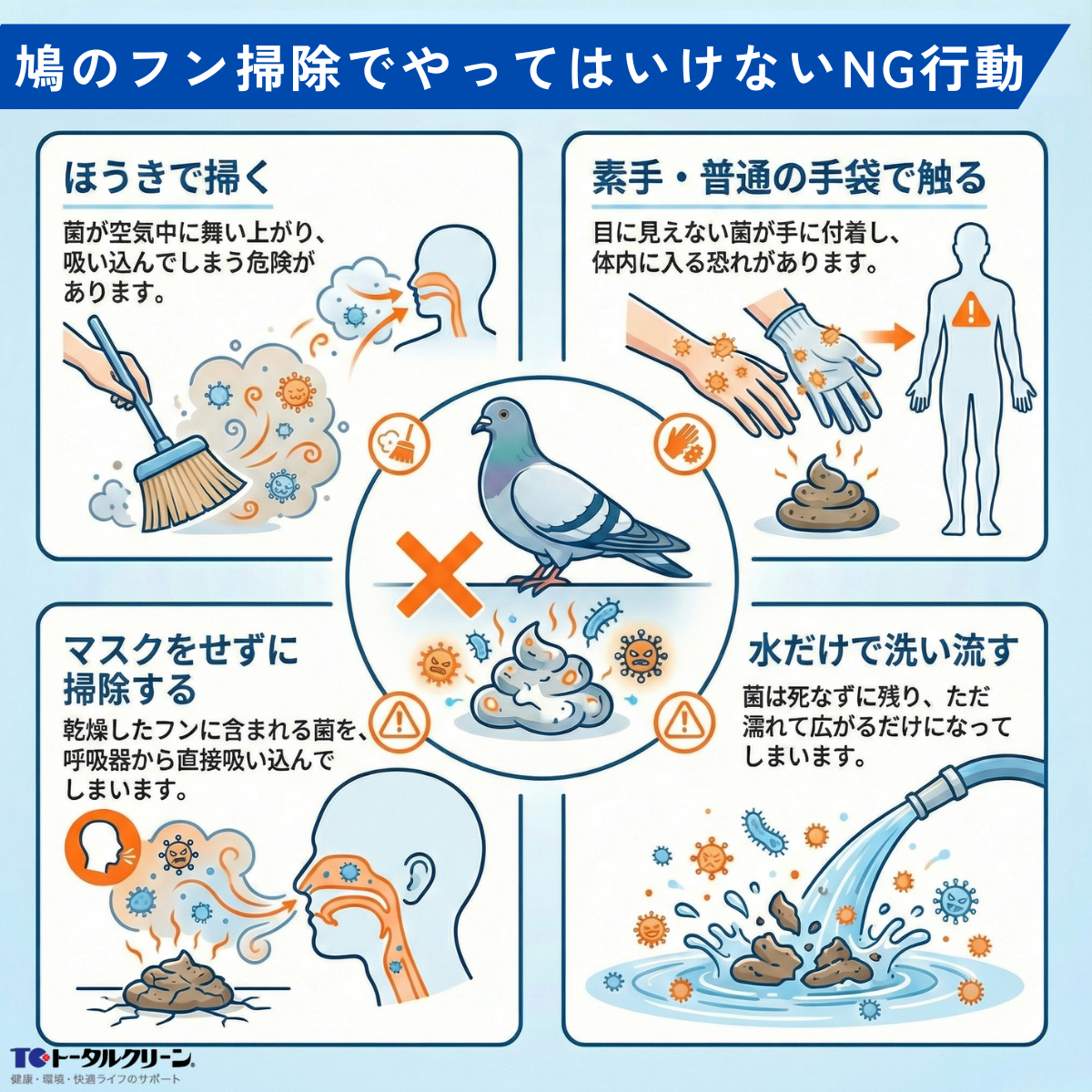 鳥のフン掃除はなぜ水拭きNgなのか？愛車と健康を守る正しい落とし方