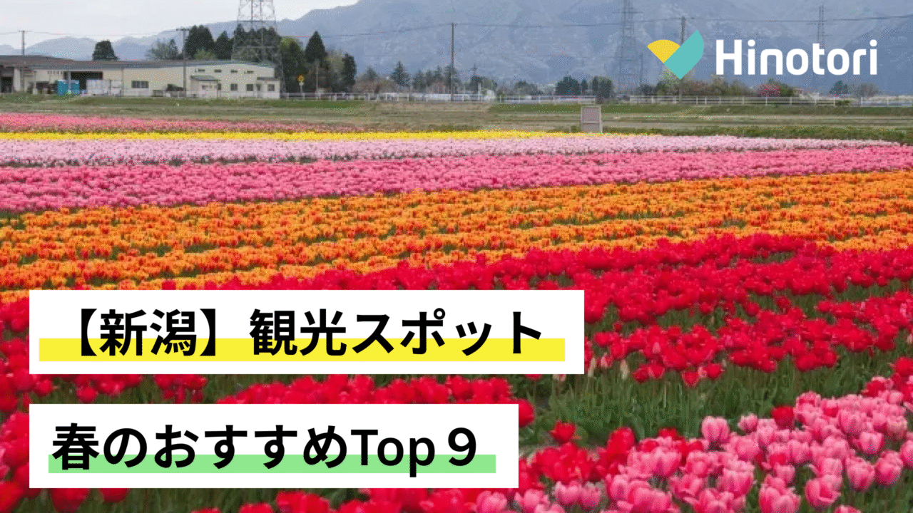 新潟へぎそばの真実！布乃利が生む喉越しと名店の決定打【2026最新】