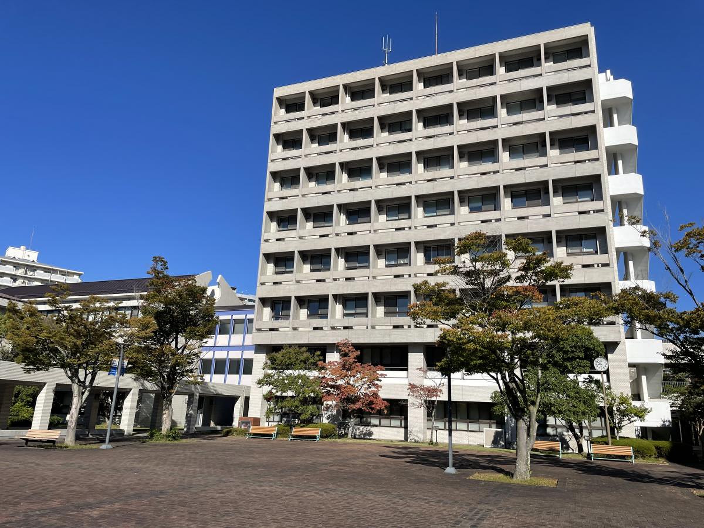 神戸市外国語大学の難易度と就職が「実は凄い」理由！2026年評判