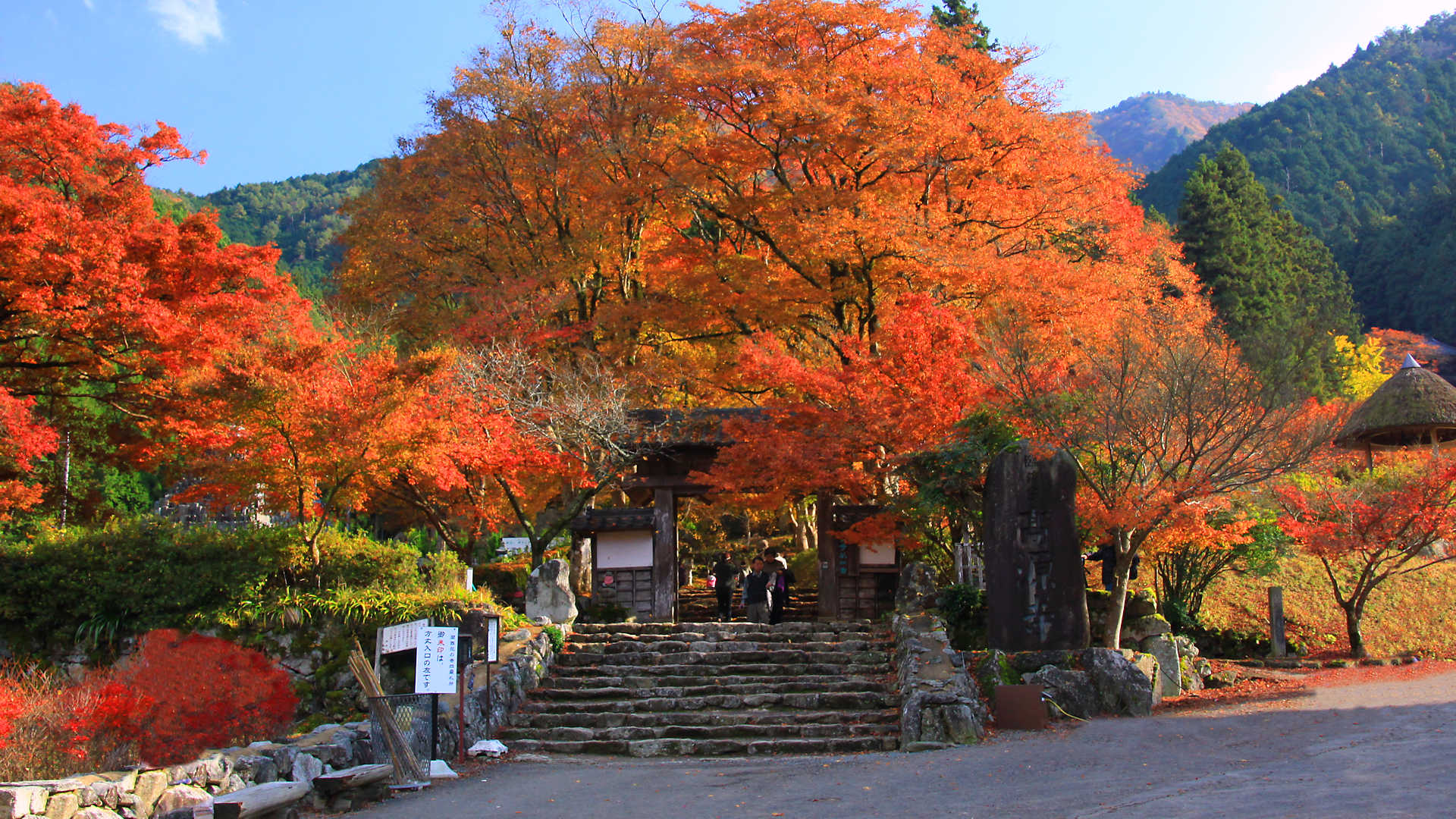 ラストサムライの聖地・書写山圓教寺の魅力と見どころ徹底ガイド