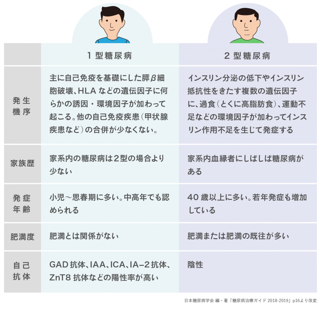 1型糖尿病の真実と2026年最新研究｜初期症状から治療・寿命影響まで徹底解説