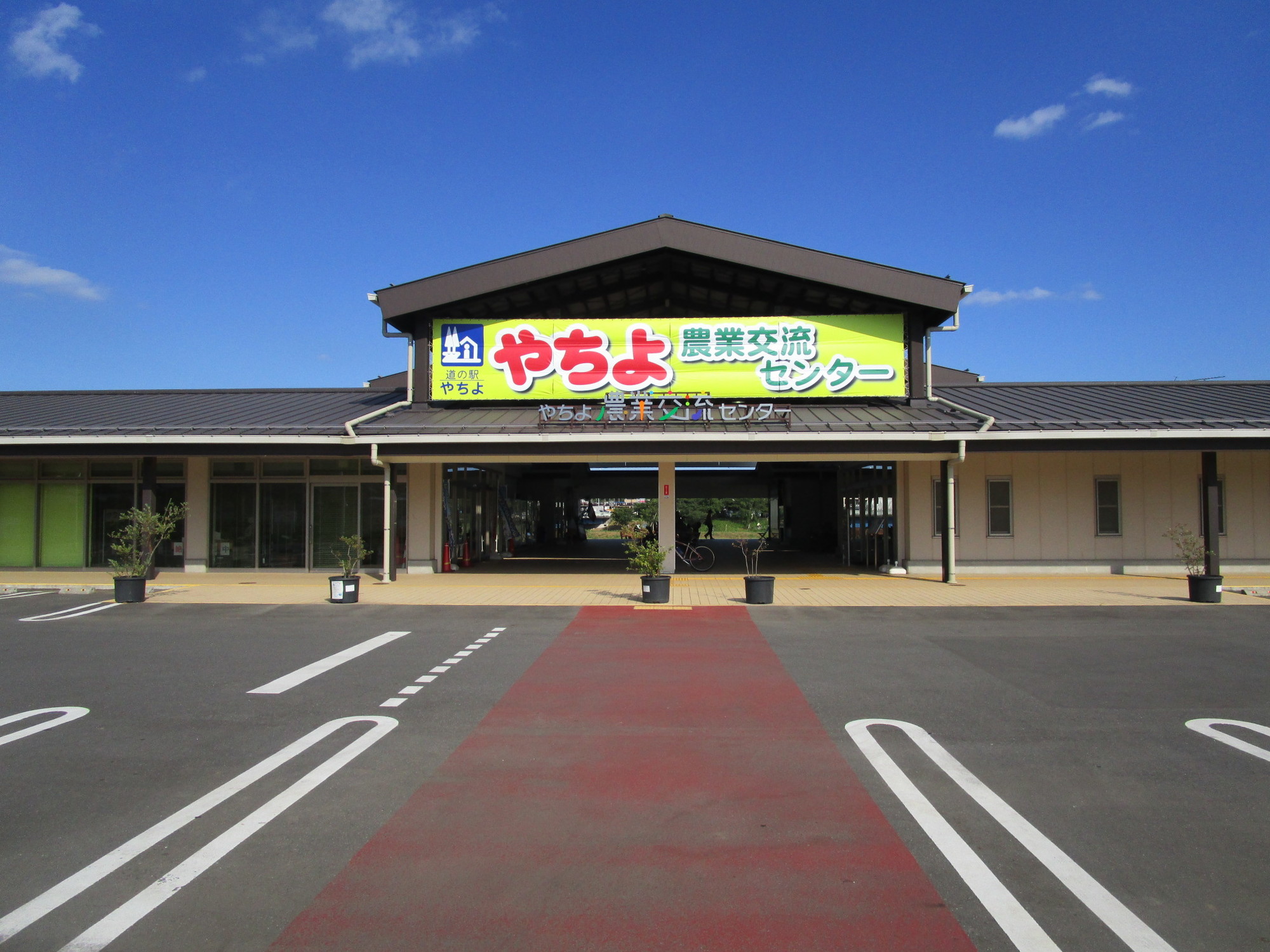 道の駅やちよ2026年最新攻略｜新川の絶品グルメと混雑回避の全貌