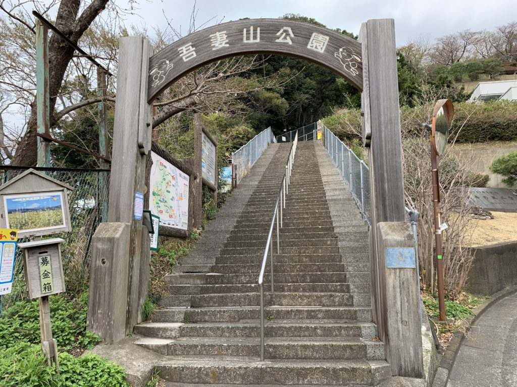 吾妻山公園2026徹底解説！富士山と菜の花の絶景・見頃とアクセス