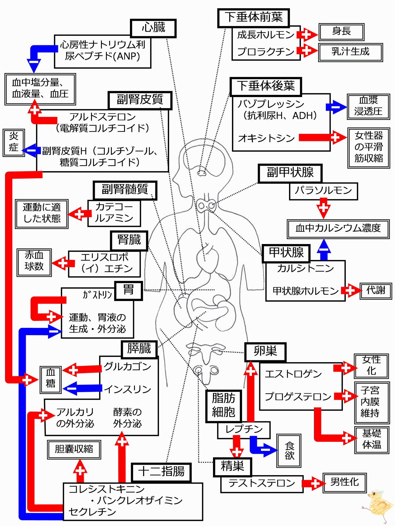 外食業界を激震させたホルモン長者の真実！年商数十億を叩き出す秘策