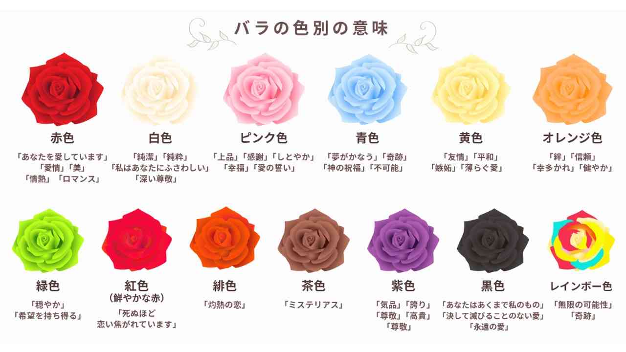 バラの花言葉一覧｜色と本数の意味＆裏切り・怖い噂の真相を徹底解説