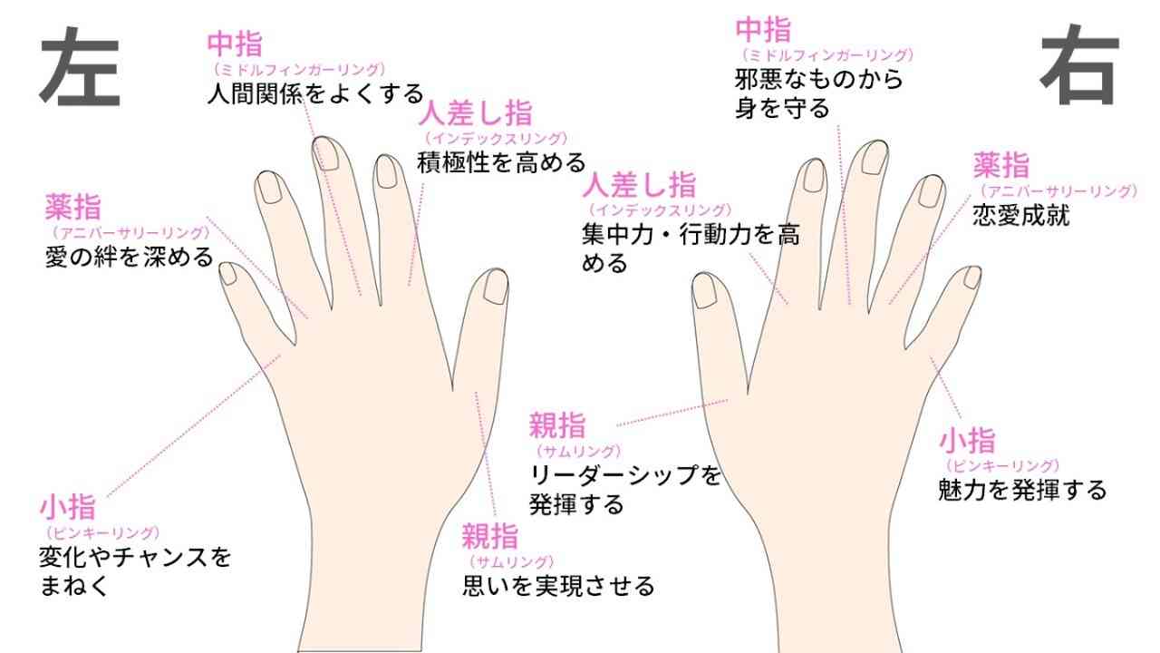薬指が長い女性芸能人の共通点とは？美人でモテる科学的理由と真相