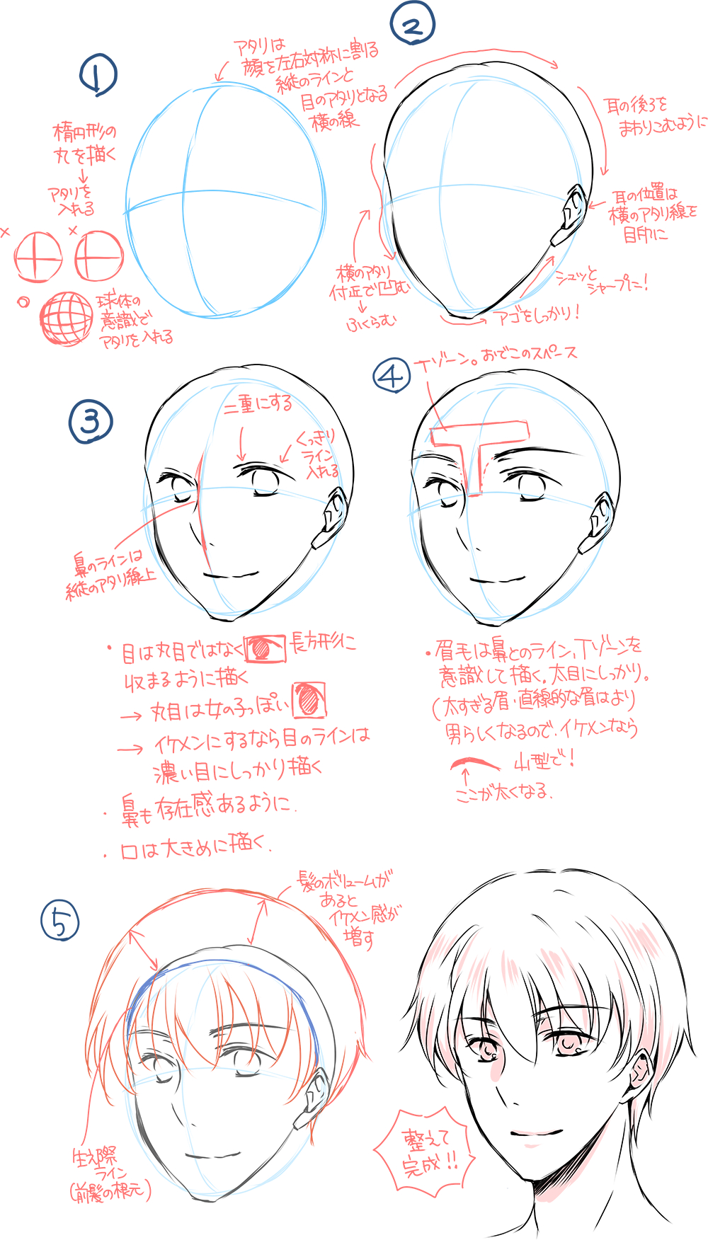 男性の輪郭の描き方大全！幼さを脱出しイケメンを描く骨格比率