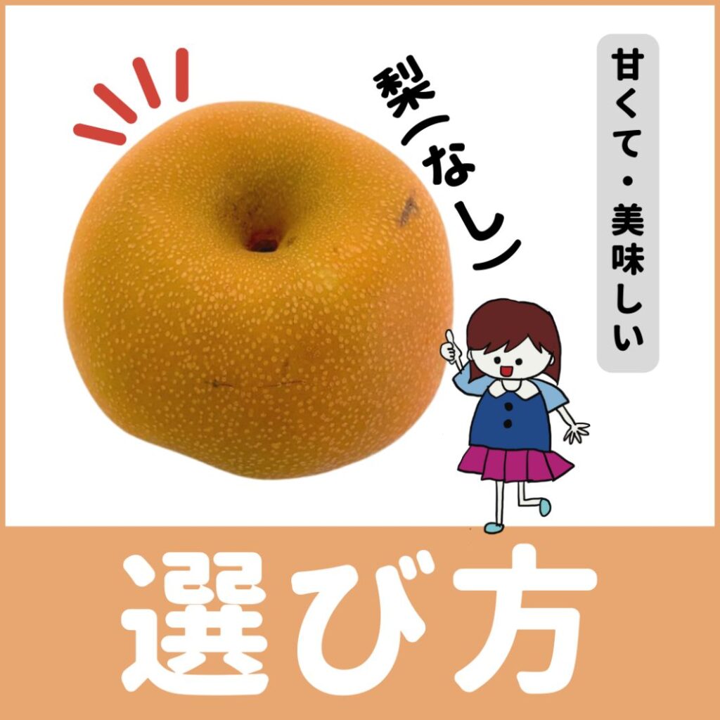 美味しい梨の見分け方決定版！甘い実を見抜くお尻の形と農家直伝の法則
