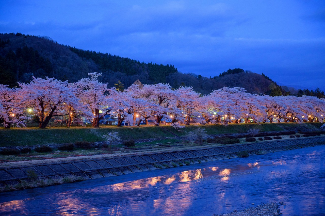 【2026年】角館の桜開花予想と見頃！混雑回避の裏ワザと名所完全ガイド