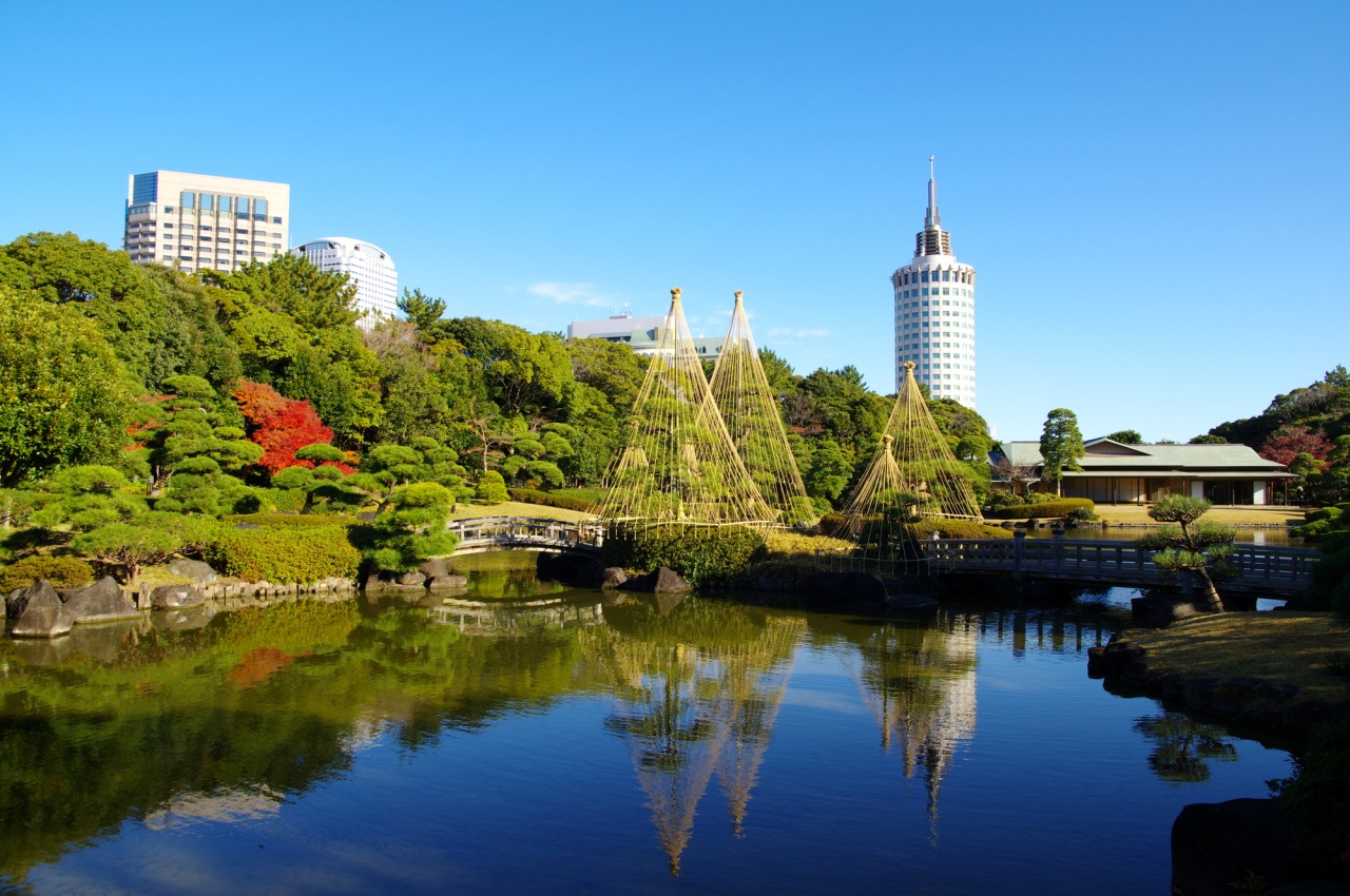 海浜幕張公園の真価とは？2026年最新穴場・混雑攻略と見どころ全解説