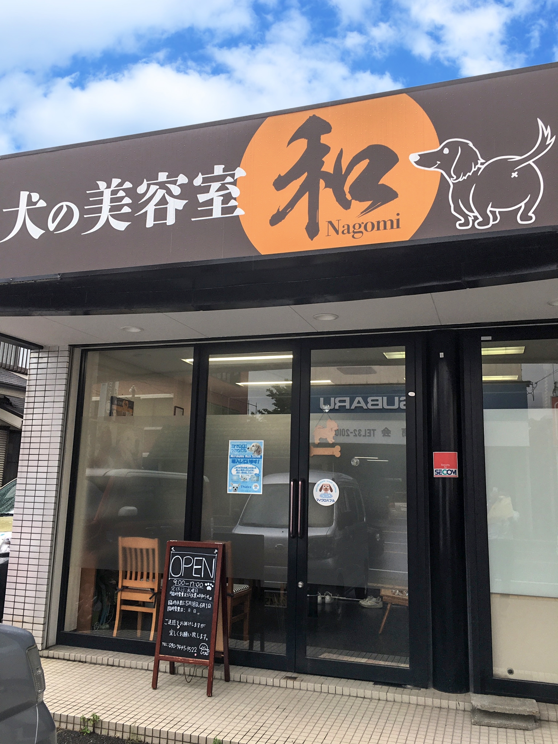 愛犬の美容室選びで失敗しない極意｜料金相場と後悔防ぐ頼み方