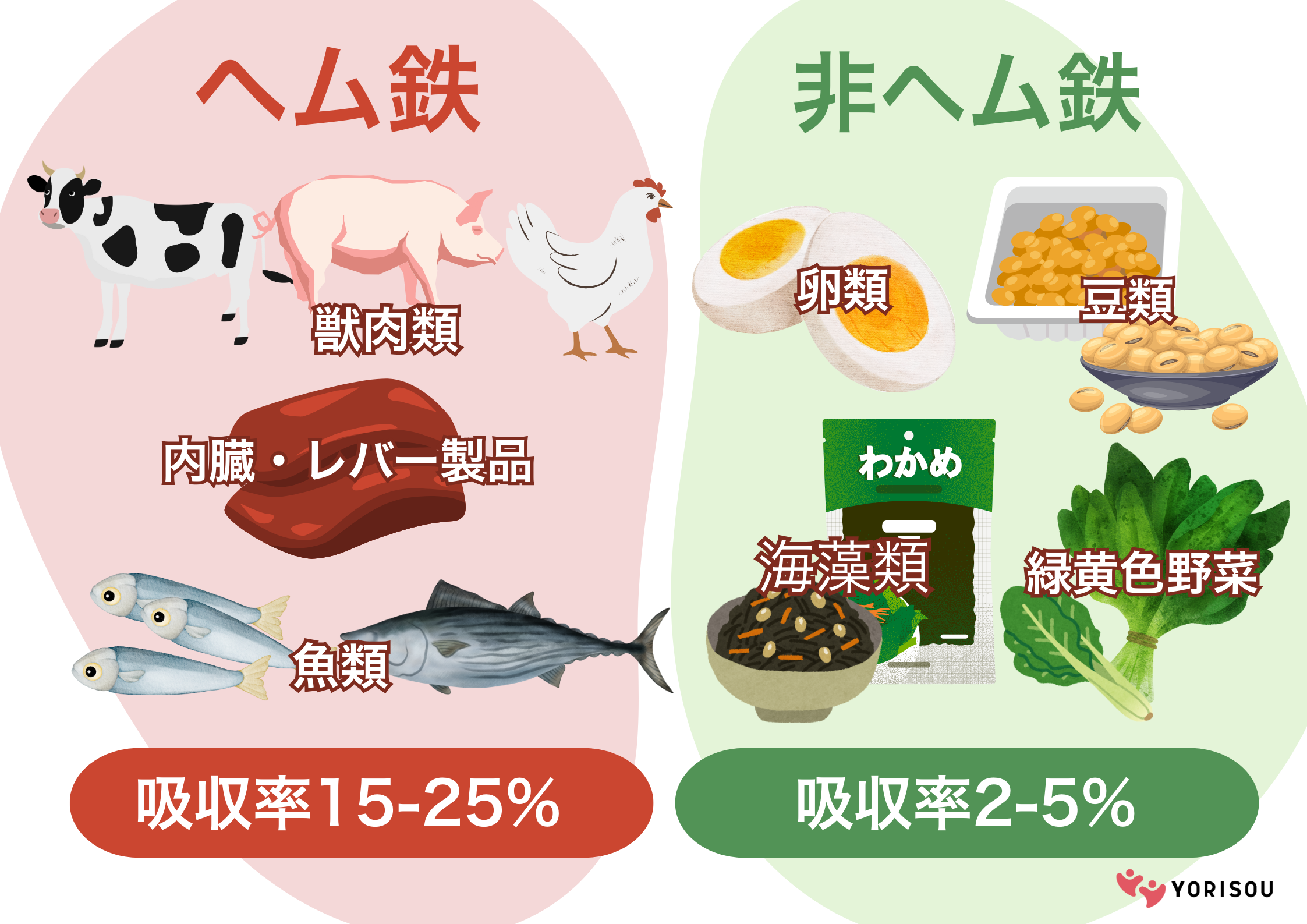 レバー不要？鉄分が多い食材と吸収率を最大化する食べ合わせ徹底解説