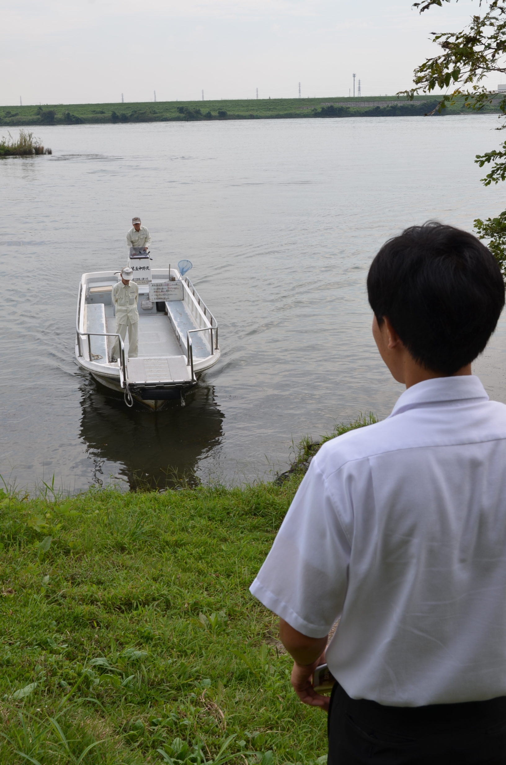 愛知県営西中野渡船場が無料の理由とは？水上県道の真相と最新情報