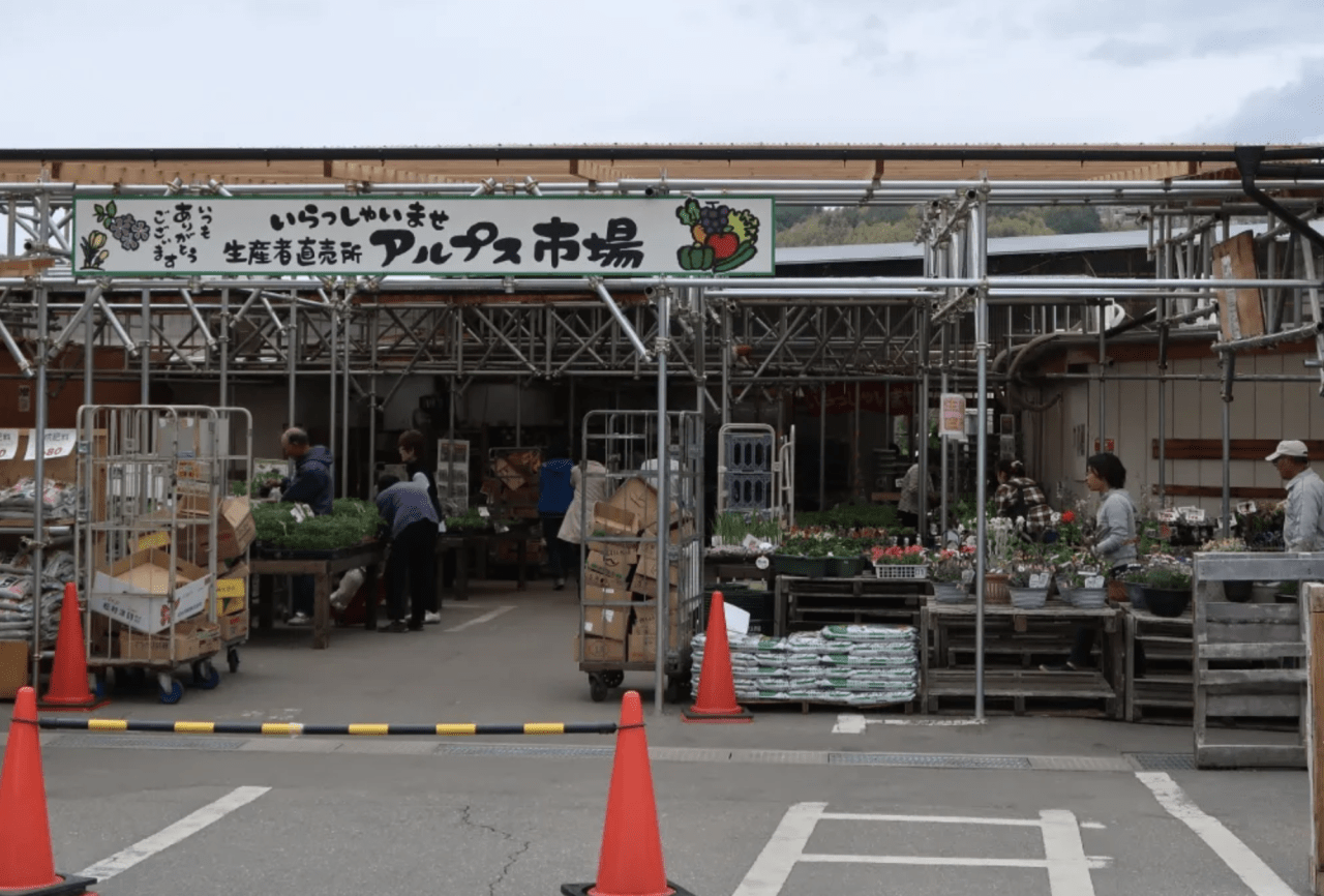 松本・アルプス市場の評判と攻略法！朝どれ野菜と混雑回避の裏ワザ