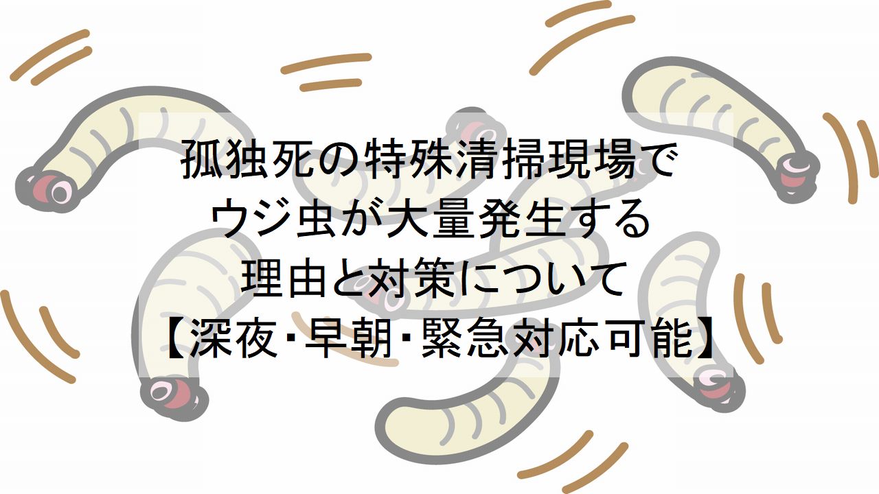 閲覧注意「ウジ虫人間」の正体とは？蝿蛆症の医学的実態と噂の真相