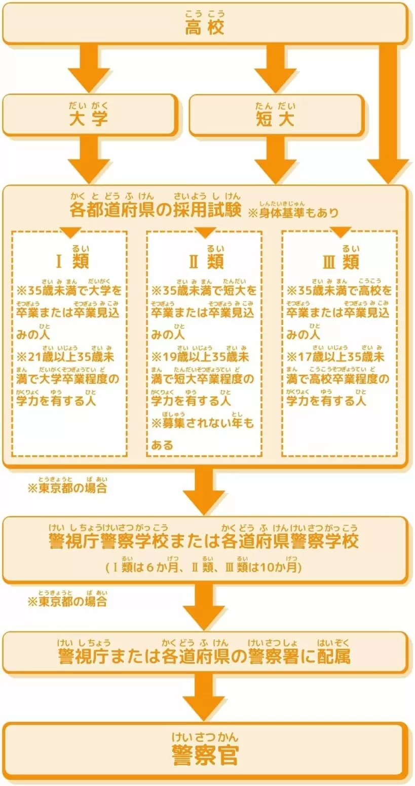 警察官になるには？高卒・大卒別の試験難易度と倍率・警察学校の実態2026