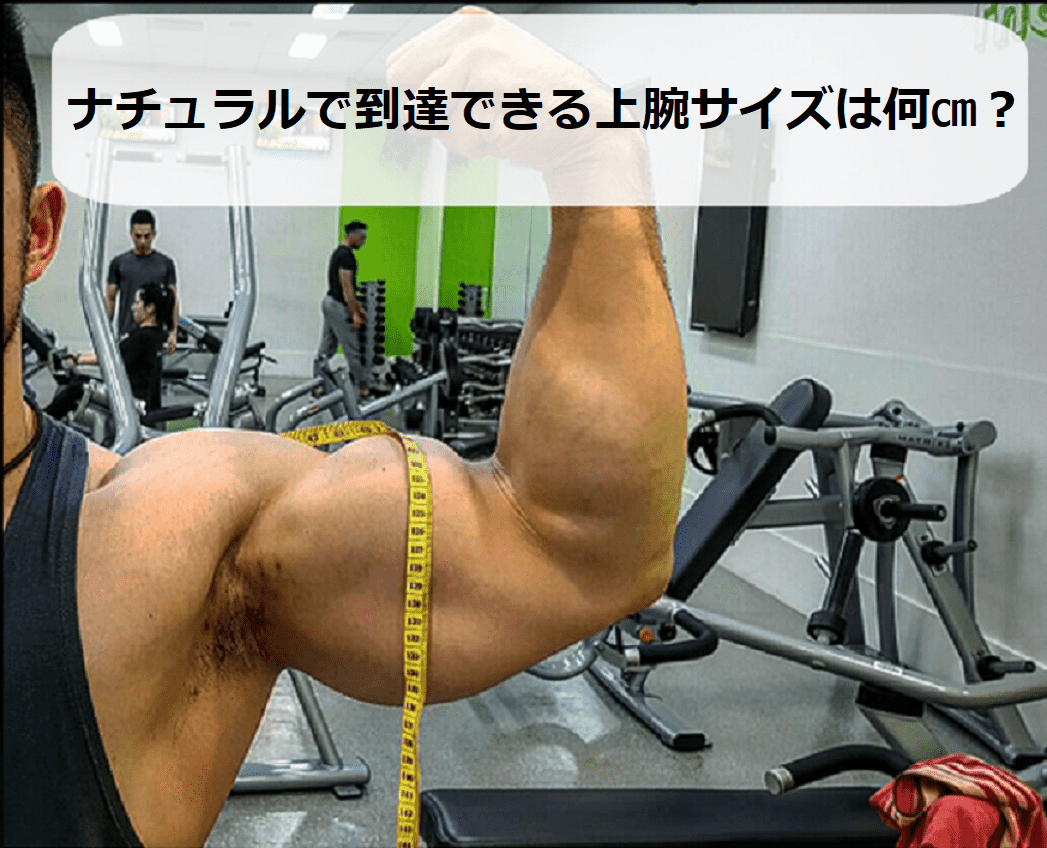 腕周りの平均サイズは？男女別・年代別の基準値と理想比率を徹底解説