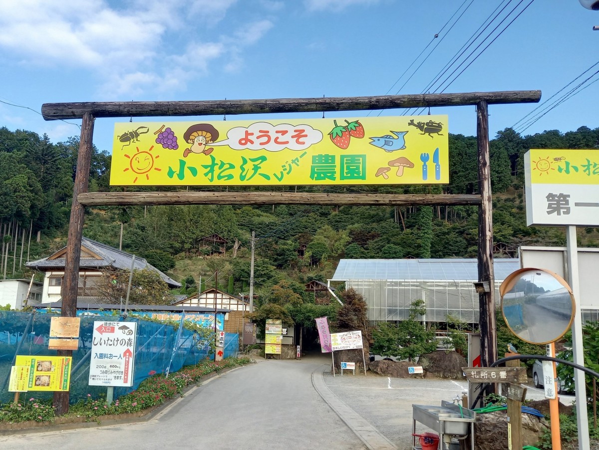 小松沢レジャー農園の噂と真実！2026最新混雑回避と後悔しない回り方