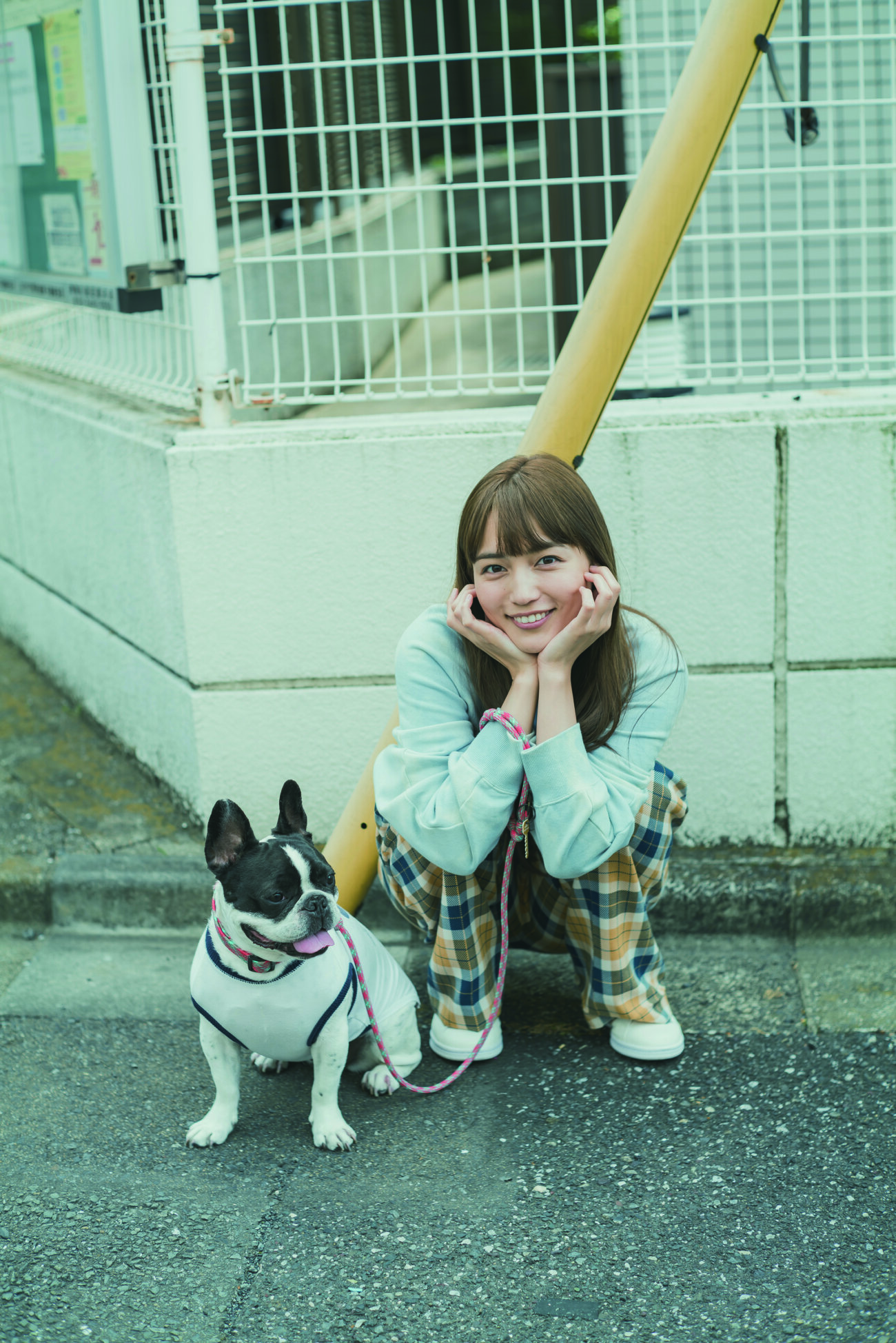 川口春奈の愛犬アム徹底解剖！犬種や溺愛秘話と2026年最新の真相