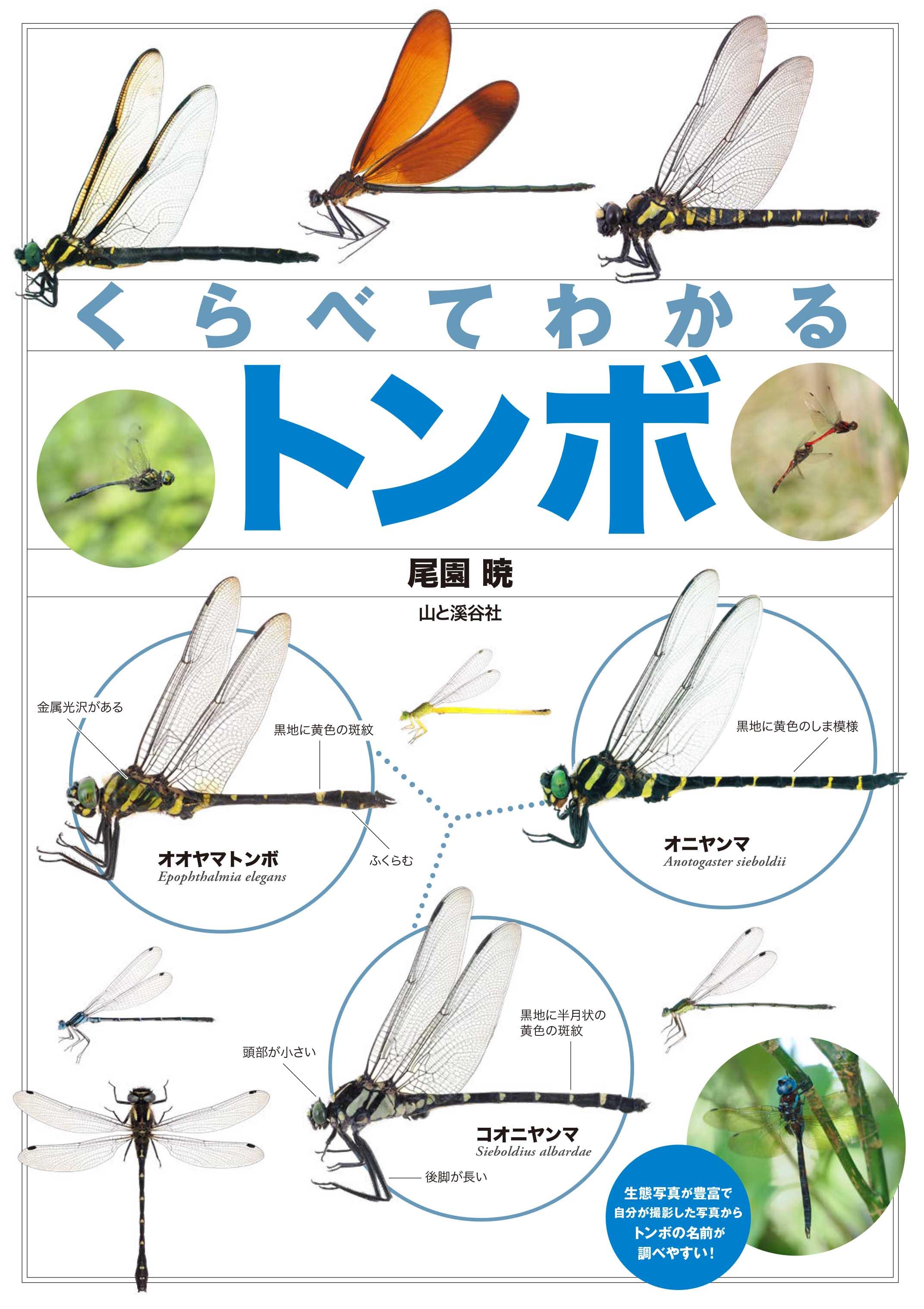 軽井沢トンボの湯攻略｜混雑回避と料金割引の真相・サウナ実態
