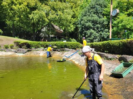 【Wiki風】 池 の 水 全部 抜く 最新出演情報まとめ #670