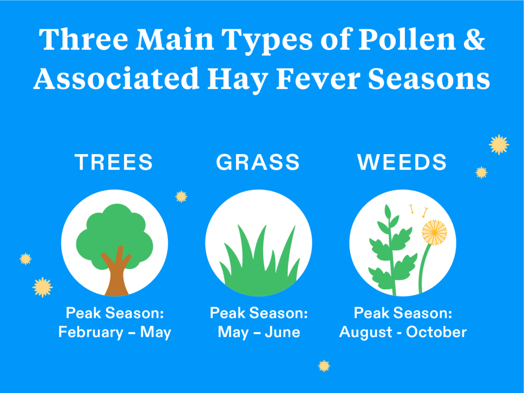 Can You Get Hayfever in October