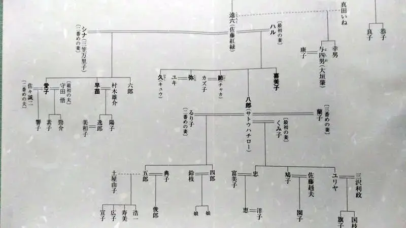 【動画まとめ】 佐藤 愛子 家 系図 Tiktok話題の動画 #655