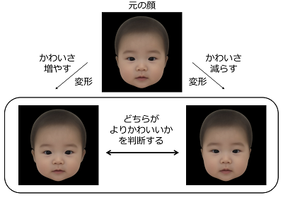 【動画まとめ】 赤ちゃん 美人 に なる 顔 2026年最新プロフィール #868