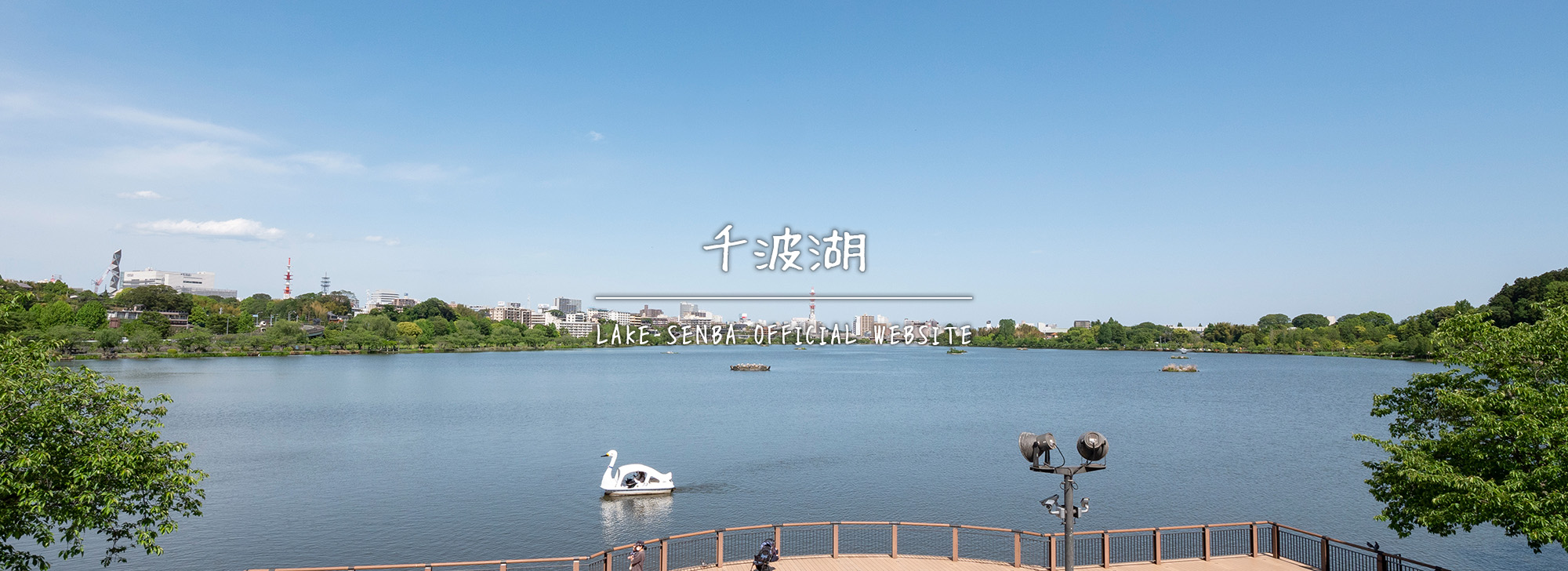 水戸・千波湖の歩き方2026！絶景散策路と無料駐車場＆カフェ徹底解説