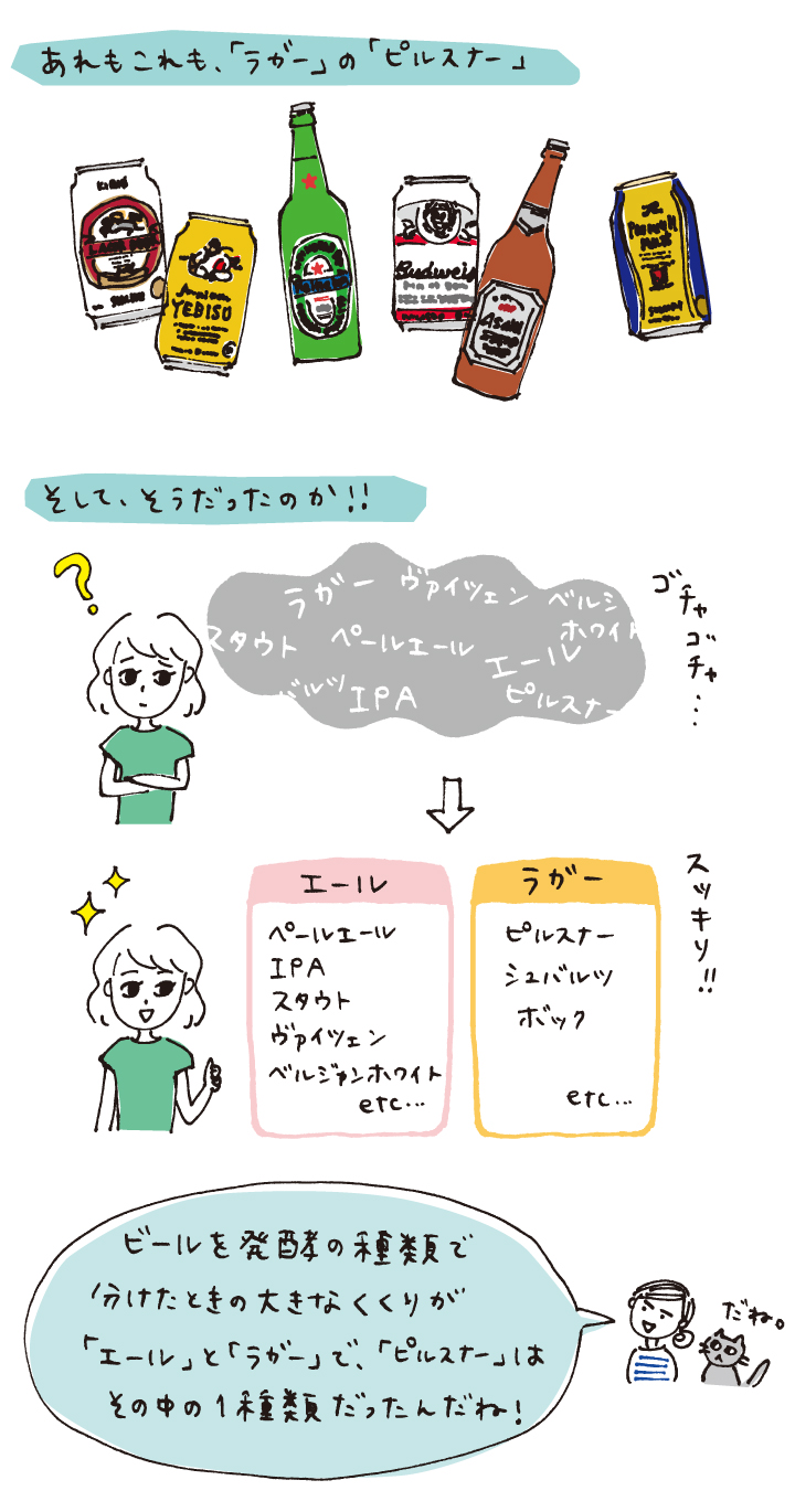 ラガービールとは？エールとの決定的な違いと喉越しの真相【2026】