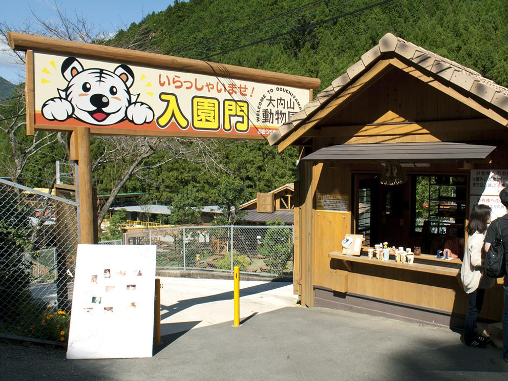 奇跡の復活を遂げた大内山動物園の真相と2026年最新攻略ガイド