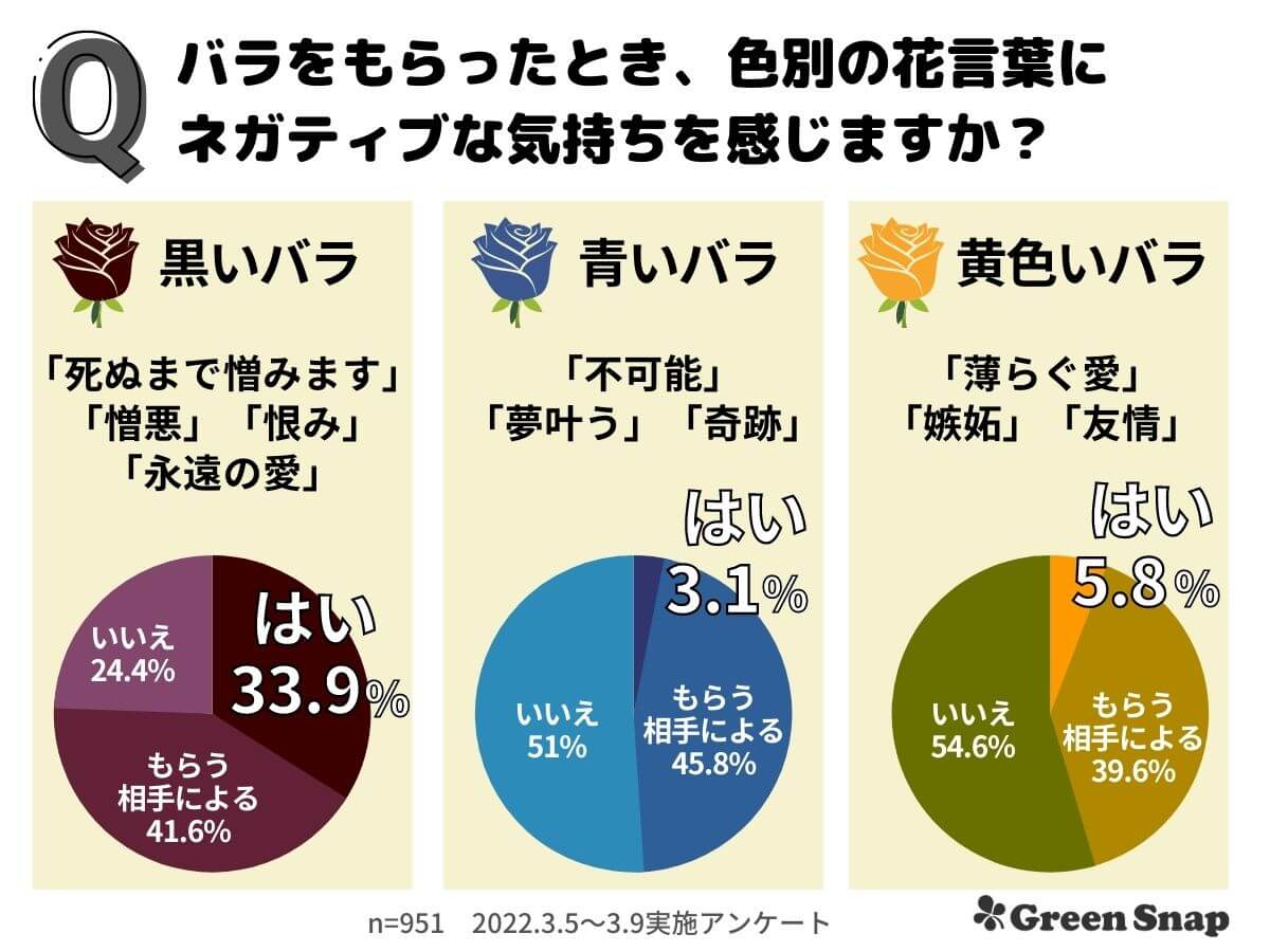 青いバラの花言葉が怖い理由とは？不可能から奇跡への真相と贈るマナー
