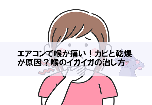 【画像あり】 喉 の 痛み エアコン 最新ファイル＆画像まとめ #619
