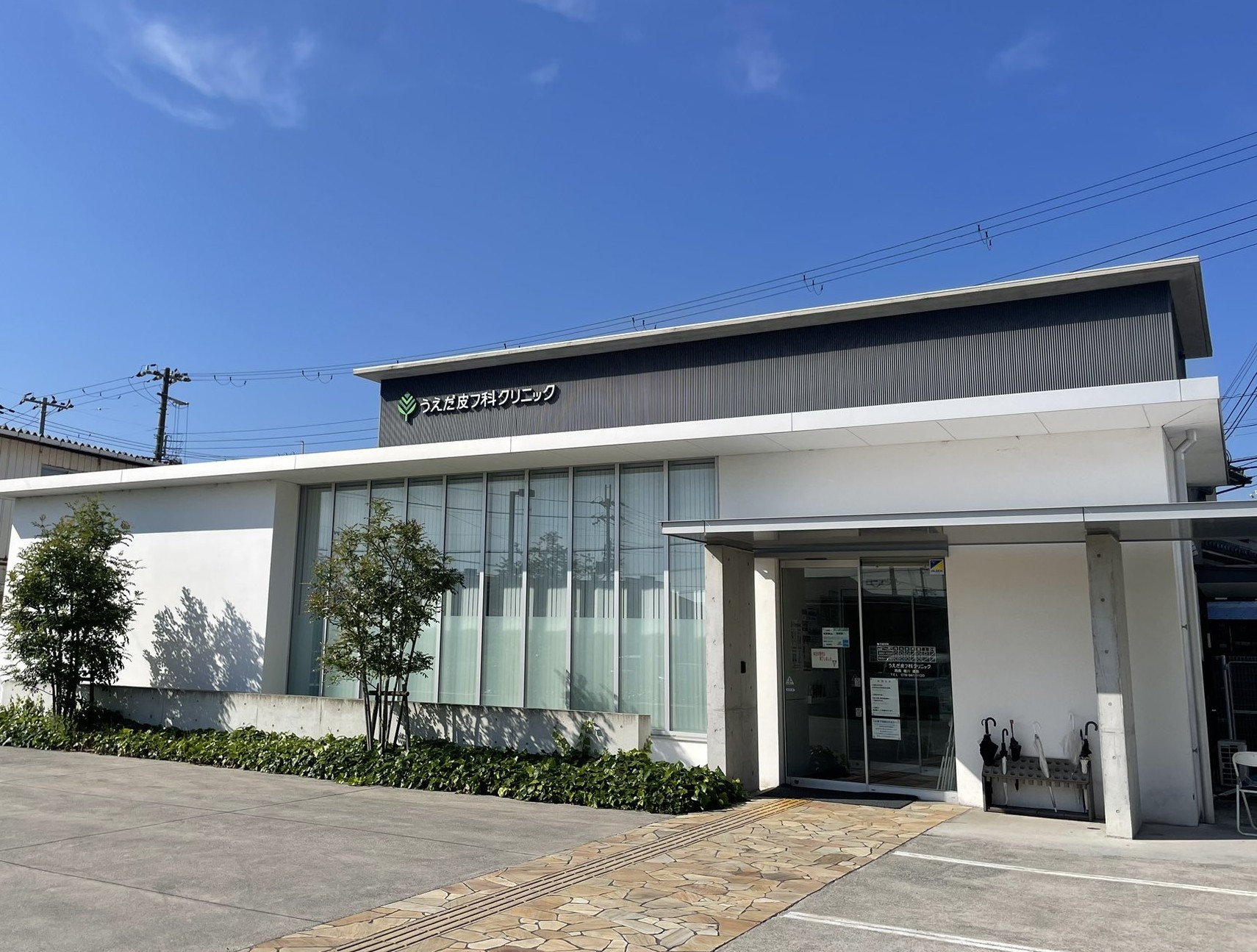 上田市皮膚科の名医と口コミ評判を徹底調査！混雑回避と予約の真相