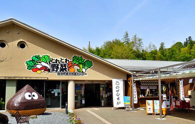 【2026最新】 道 の 駅 能勢 くり の 郷 最新情報まとめ 2026 #782