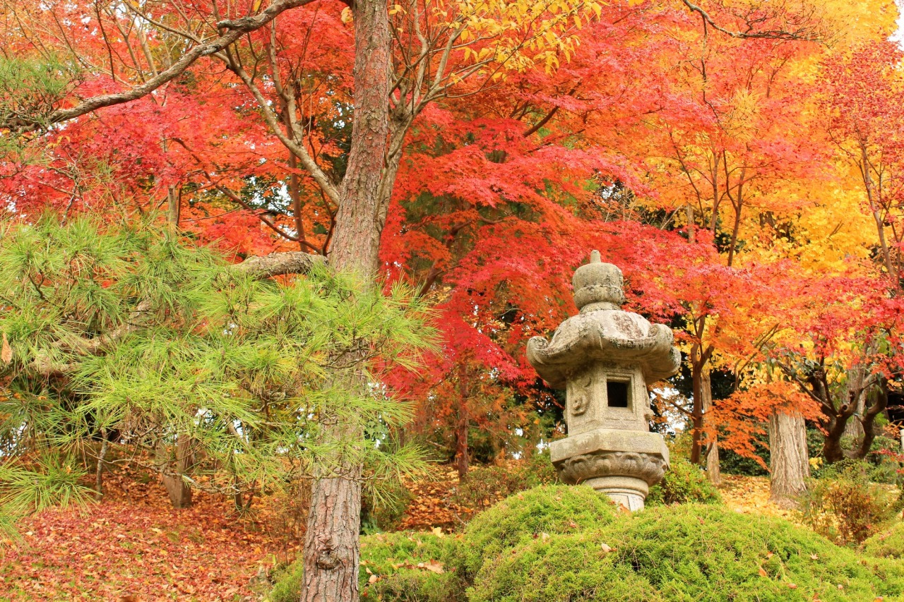 【2026最新】千葉の紅葉名所12選！見頃や穴場・温泉まで徹底解説