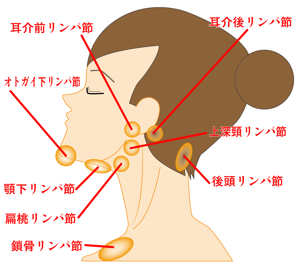 首の付け根のしこりは放置Ng？痛みの有無でわかる危険度と受診科