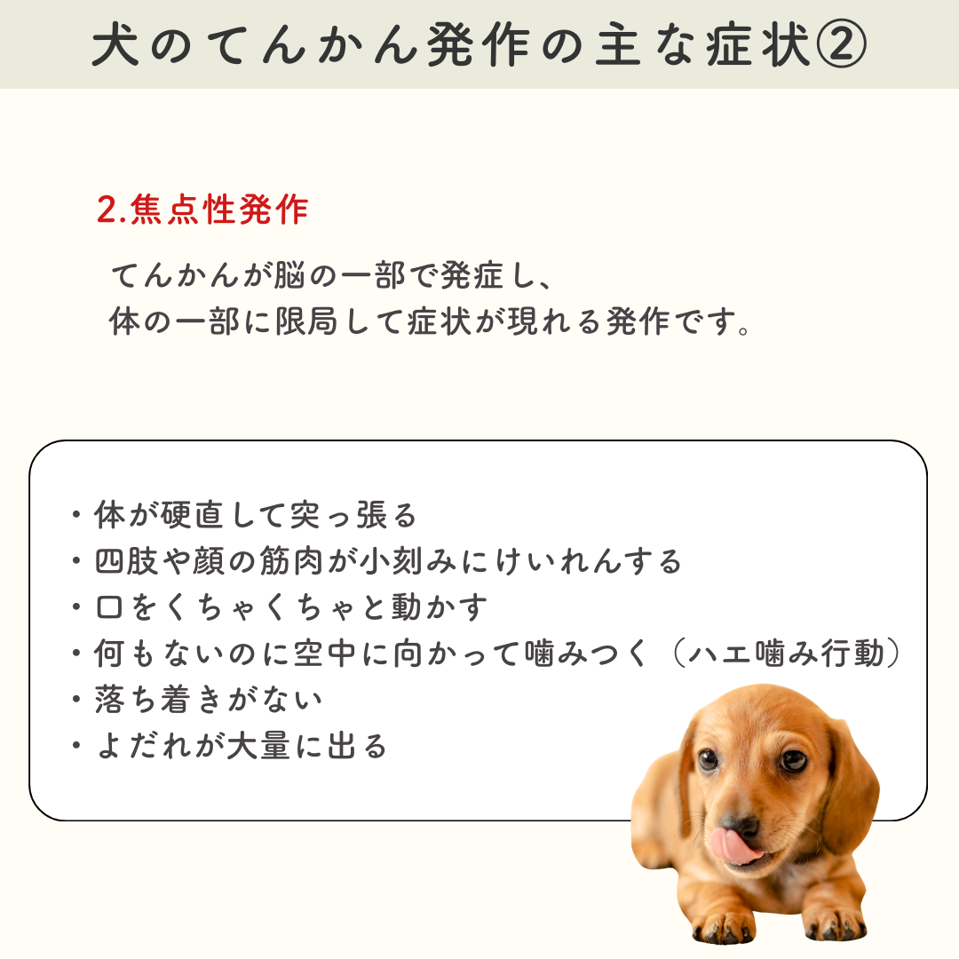 犬のてんかん症状と前兆を見抜く｜愛犬の痙攣・意識消失の緊急対処法