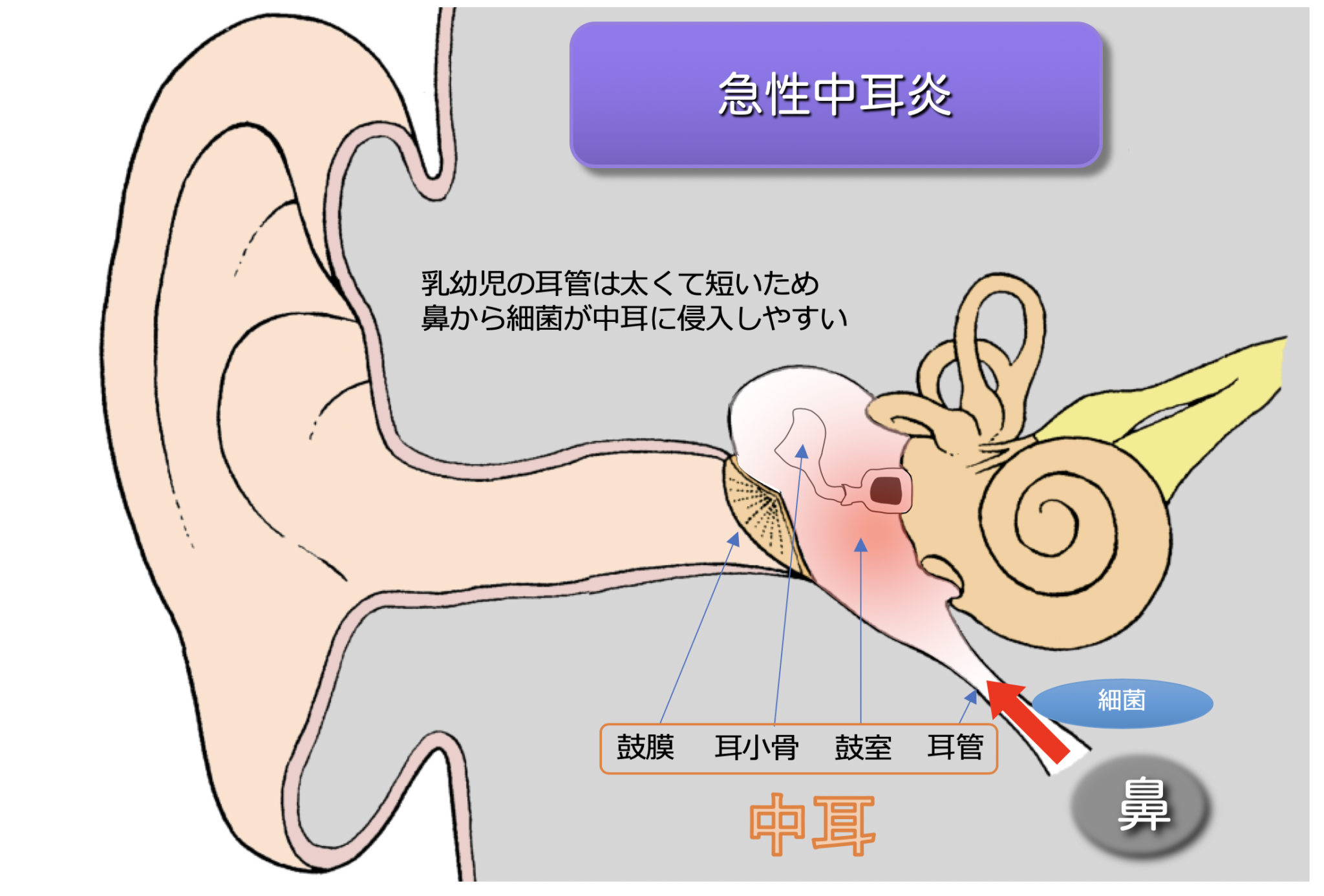 耳の奥がズキンと痛む原因は？放置禁物の危険サインと最新対処法