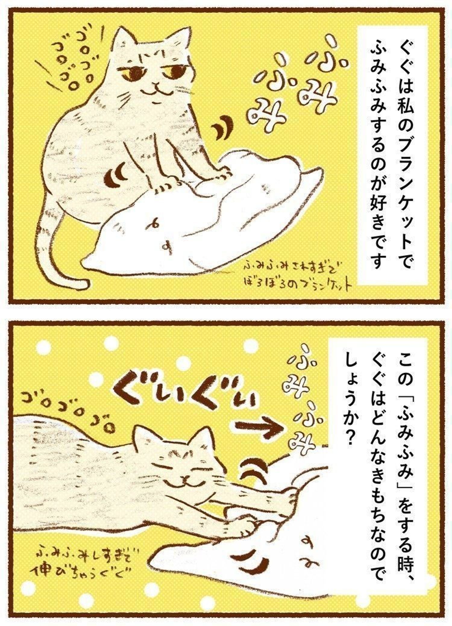 猫がふみふみする理由とは？甘えの裏に潜む心理と病気の境界線を徹底解明