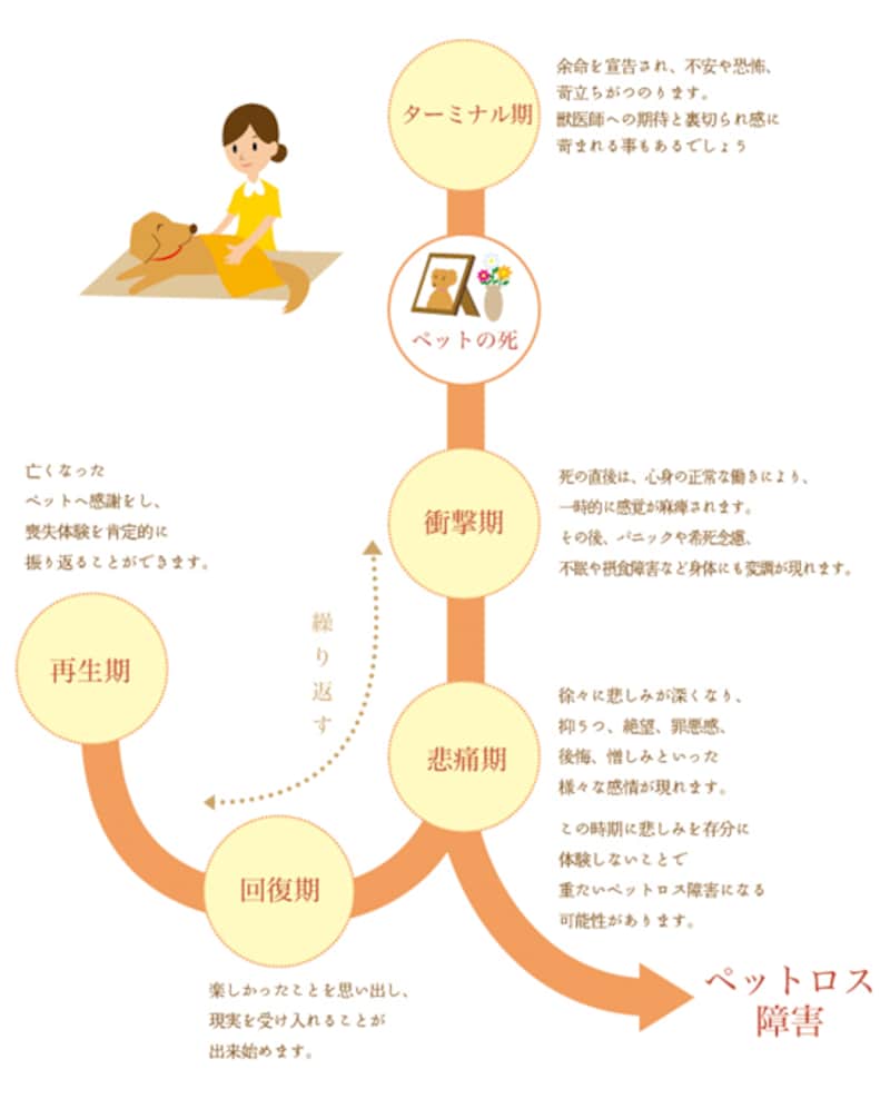 ペットロスを乗り越える心の処方箋｜罪悪感を解きほぐす回復の段階