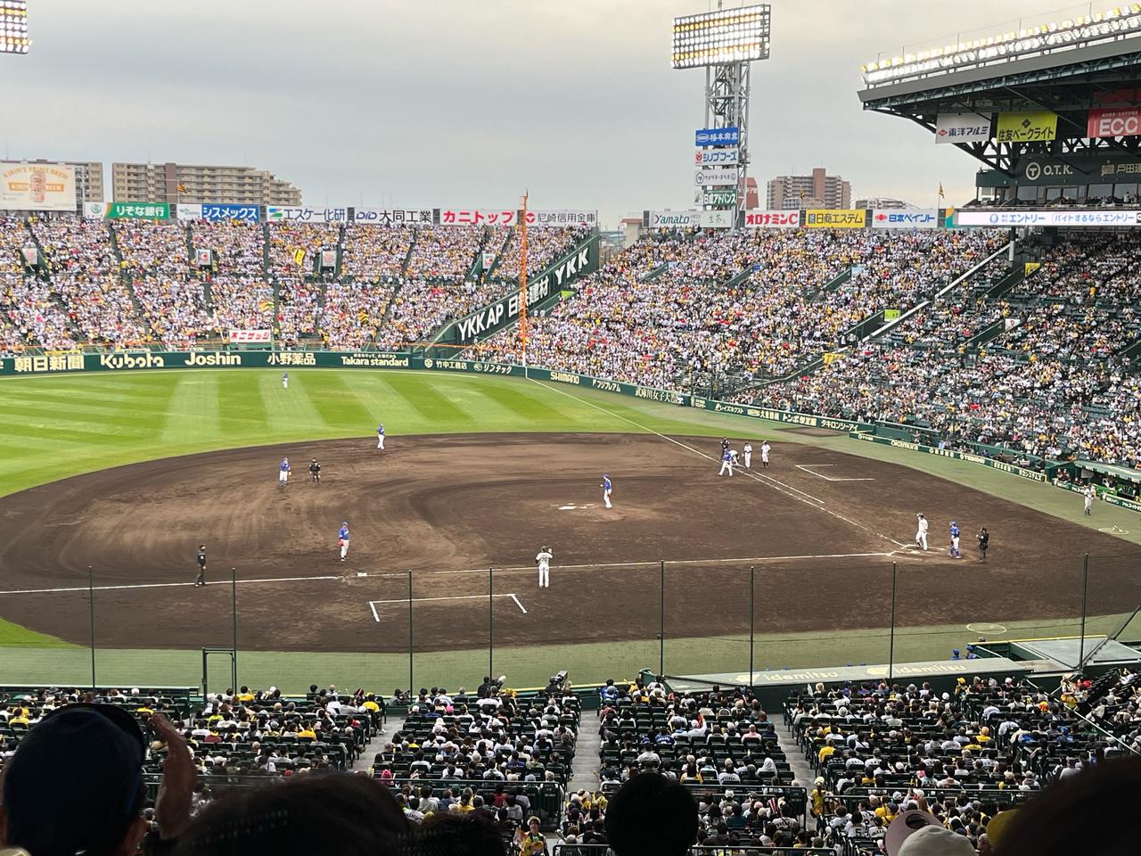 阪神甲子園球場の天気と試合開催速報！雨天中止の判断や浜風を徹底解説