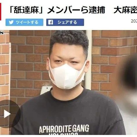 【真相】 舐 達 麻 逮捕 人気理由と評判まとめ #870