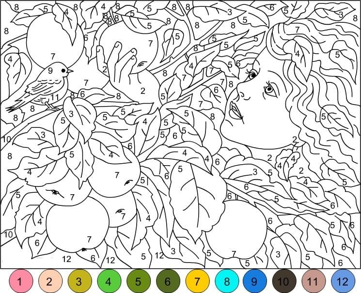 Free Online Coloring for Adults by Number
