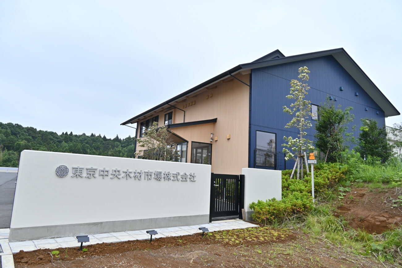東京中央木材市場の現在｜一般人は競りで買える？買い方と相場を徹底解剖