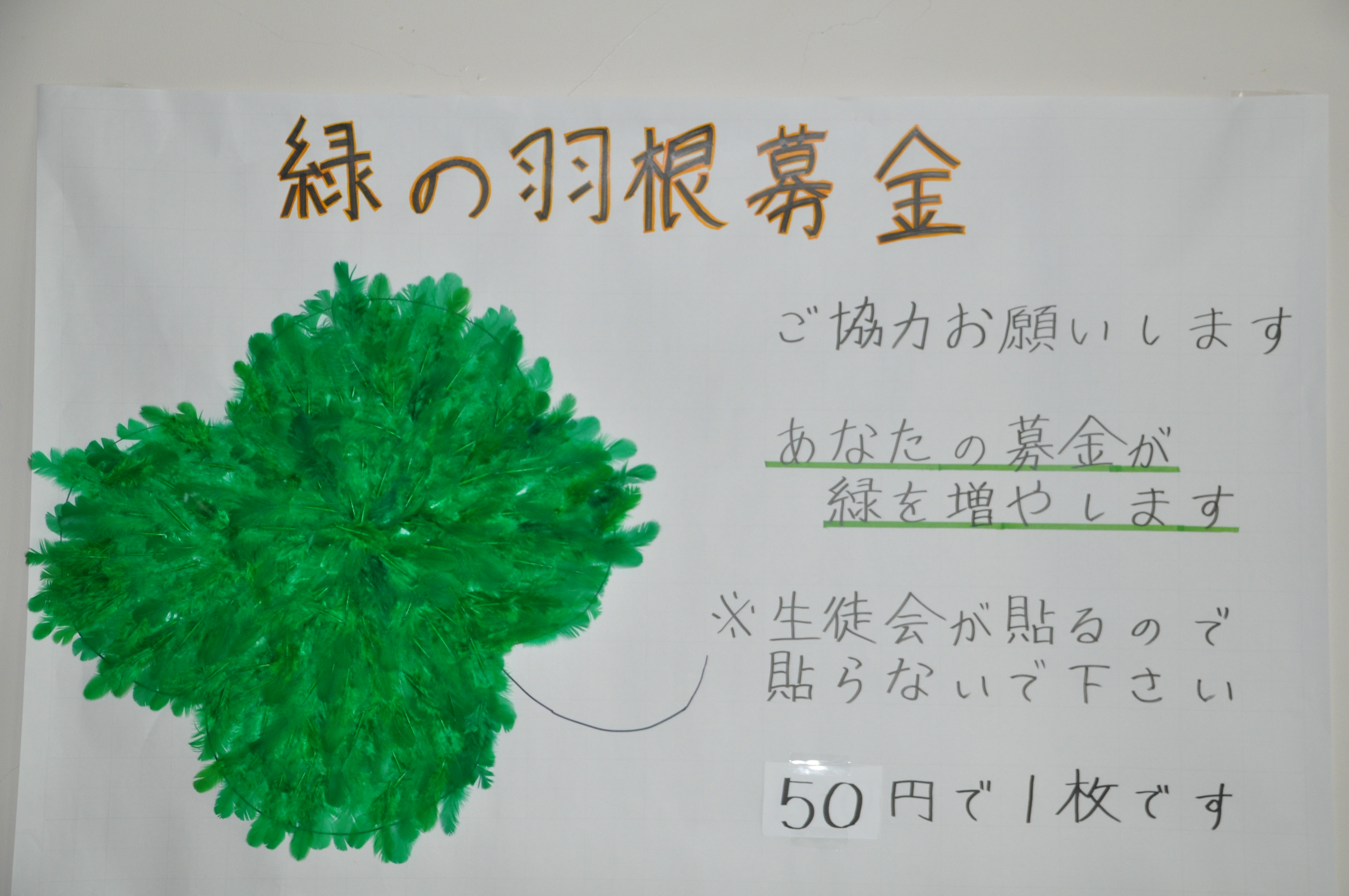 緑の羽根募金とは？使い道や赤い羽根との違い・学校集金の真相